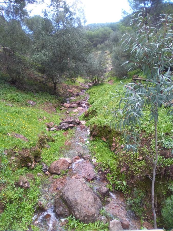 Casa Rural La Barandilla Konuk evi Villafranca de Córdoba Dış mekan fotoğraf