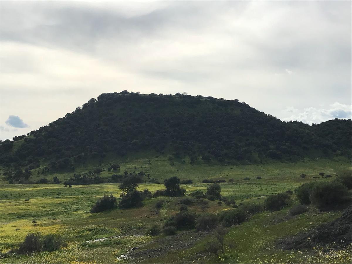 Casa Rural La Barandilla Konuk evi Villafranca de Córdoba Dış mekan fotoğraf